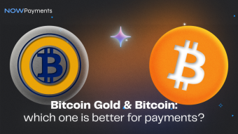 Bitcoin and Bitcoin Gold: which one is better for crypto payments?