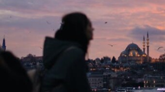 An Observer.