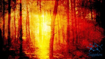 Into The Altcoin Forest - New Projects I'm Looking To Accumulate