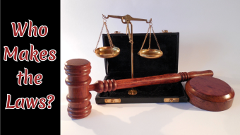 Who Really Makes the Laws?