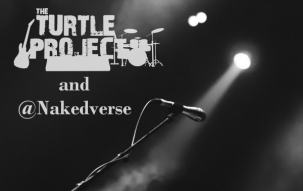 When The Music Dies by The Turtle Project and nakedverse