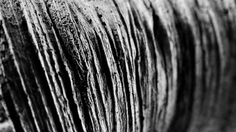 Random shapes in random commonly found objects