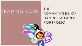 The Advantages of Having A Large Portfolio