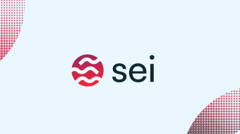 Sei, the network that wants to 'out-network' other networks by being the most network to ever network