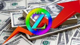 How To Buy / Swap Zappy Coins? Step By Step Guide | #Zappy of Elvenland
