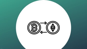 Is maximalism healthy for cryptocurrency and blockchain adoption?