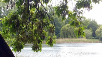 The morning was a bit of a surprise, because it was raining heavily, but after that there were no surprises - My Actifit Report Card: May 28 2024