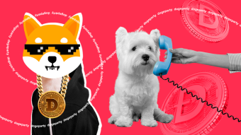International Dog Day: Overview of dog-themed cryptocurrencies