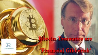 Bitcoin Treasuries are ‘Financial Gibberish’