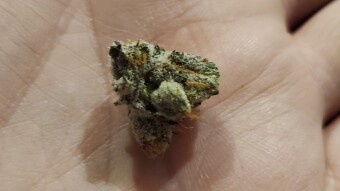 Crypto & Cannabis - G Purp