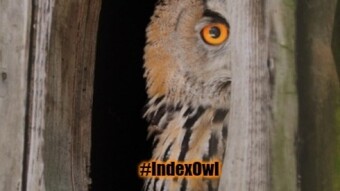 Index Coop DAO - Vox Populi, Vox Dei!