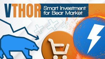 VThor: The Smart Investment for Bear Market Survival