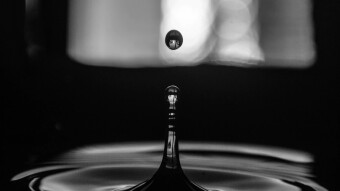 Drip.Community’s Solid Performance