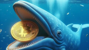 What are Bitcoin whales doing with this price surge?