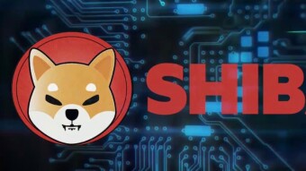 Shiba Inu Coin(SHIB): There’s A New Doggo In Town
