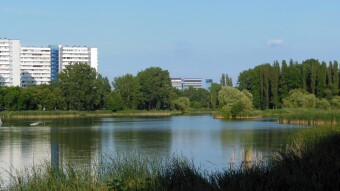 Today, for a change, only walking walks in the park and around the pond - My Actifit Report Card: July 6 2023