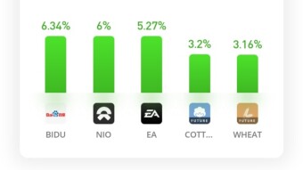 Saturday's Miniportfolio Update. Two weeks of losses