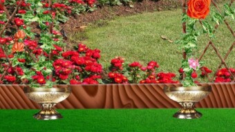 My "PHOTOSHOP" work Episode #31.This photoshop work is my own creat that's why i do it with my own way