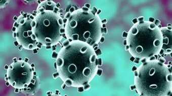CORONAVIRUS: Algeria Records Two More Cases