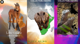 Endemic Geography Collection 🐺🦏🐉