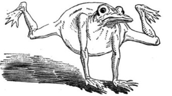 The Ungrateful Son by The Brothers Grimm