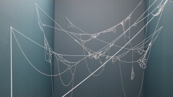 Cobwebs in my head
