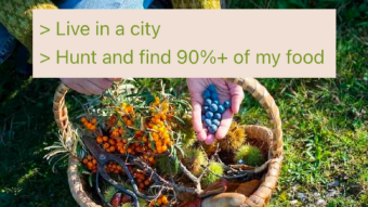Urban Foraging | 4chan stories