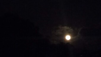 A Night Without You