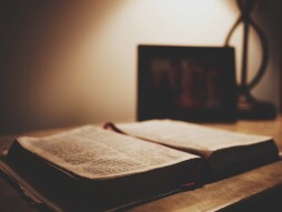 Reflections - March 30, 2019