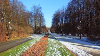 Lots of sun and lots of exercise, a positive Monday - My Actifit Report Card: November 27 2023