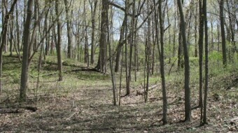 2,000 Year Old Native American Burial Grounds: The Norton Mound Group