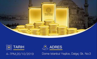 WaykiChain İstanbul meeting.