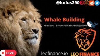 How to build a cryptocurrency whale effectively?