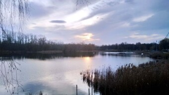 Today, much cooler, but still spring - My Actifit Report Card: March 11 2025