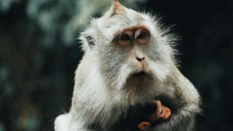NFTs: My Experiment (Part Two)