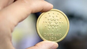 Cardano Woke Up From a Long Sleep