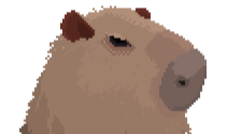 Meet the artist behind CozyCapybara