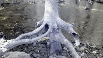Interesting sights along the trail - Infrared Photography