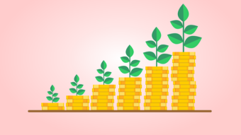Newbie Investors Should Explore Mutual Funds (Including Crypto Mutual Funds)