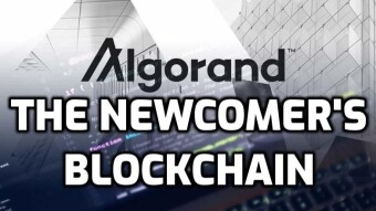 Algorand - The newcomer's blockchain