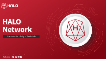 HALO Network Review