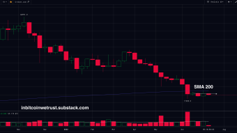 Bitcoin Price Falls Back Below $20K As Outlook Looks Brutal.