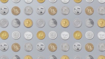 Will Crypto Survive? The Top-Performing Web3 Coins