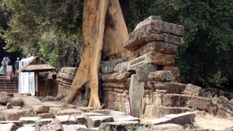 Ta Prohm temple and strangler trees - Cambodia