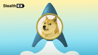 Dogecoin For Dummies: How It Works, DOGE History, How To Buy Dogecoin? Can Dogecoin Reach $1000? And How Much Dogecoin Does Elon Musk Own?