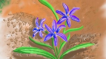 Digital art_2021. Chionodoxa