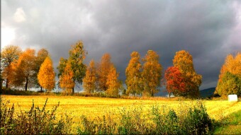 Colors