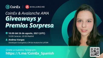 Resumen del AMA de Avalanche en Español