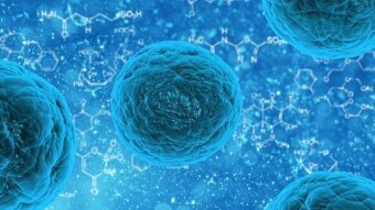 Humacyte, Inc. (HUMA); The Biotechnology Company That's New on My Radar