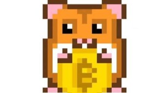 What are some good miners for beginners? (Rollercoin)